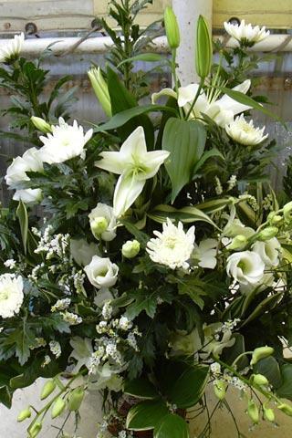 法要スタンド(貸し出しオケ)