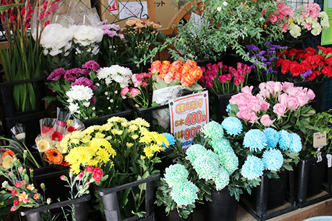 切花バイキング