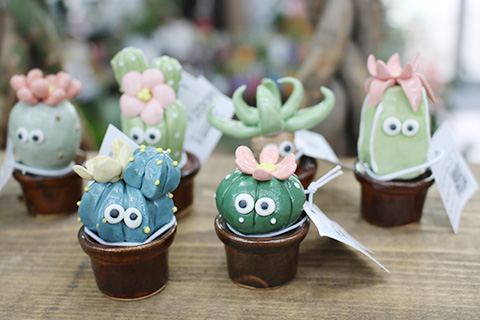 サボテンフレンズ