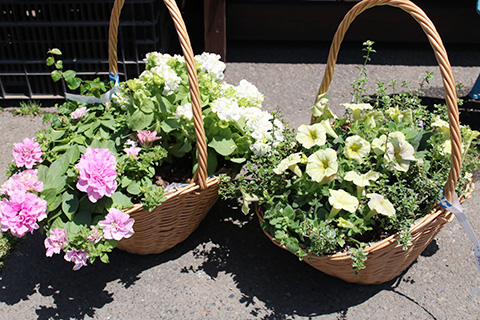 寄せ植えカゴアレンジ