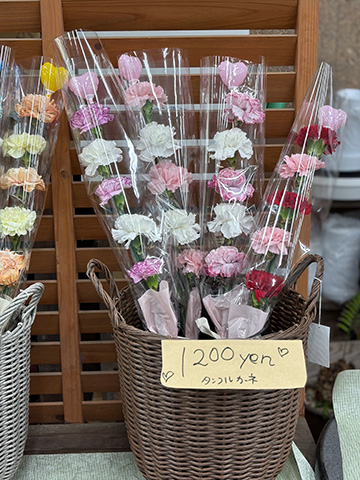 母の日・タンフルカーネーション