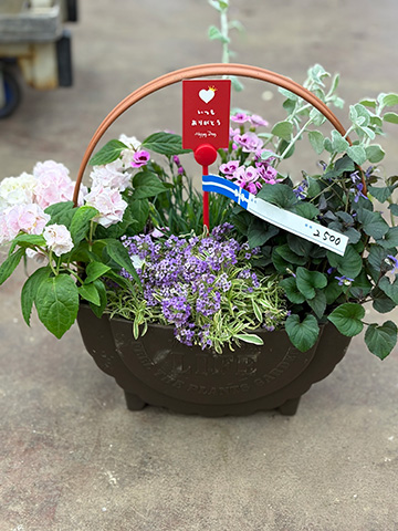 母の日・寄せ植えアレンジ