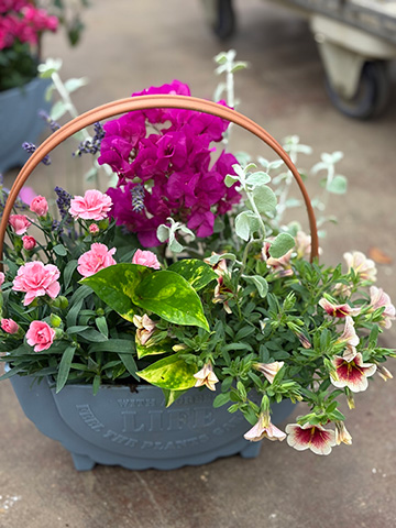 母の日・寄せ植えアレンジ
