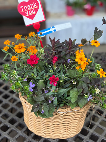 母の日・寄せ植えアレンジ