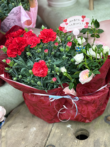 母の日・カーネーション寄せ植えアレンジ