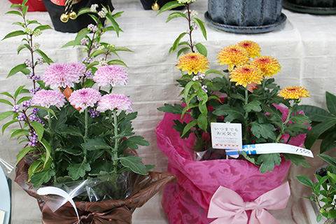 敬老の日・寄せ植えアレンジ