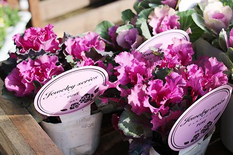 葉ボタン ジュエリーシリーズ